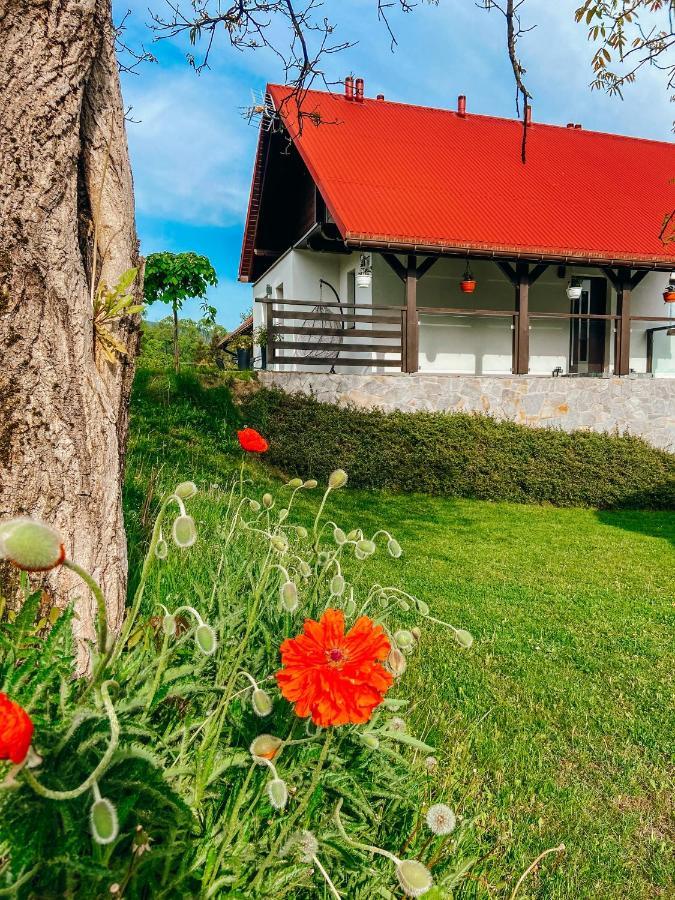 Villa Malinowa Osada Wisła Esterno foto