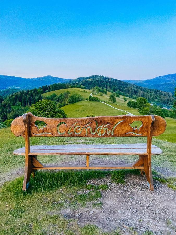 Villa Malinowa Osada Wisła Esterno foto