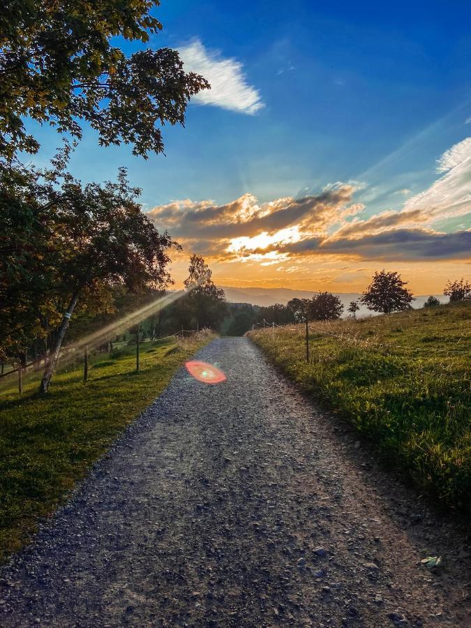 Villa Malinowa Osada Wisła Esterno foto